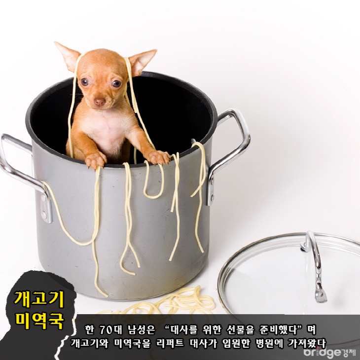 1마크개고기