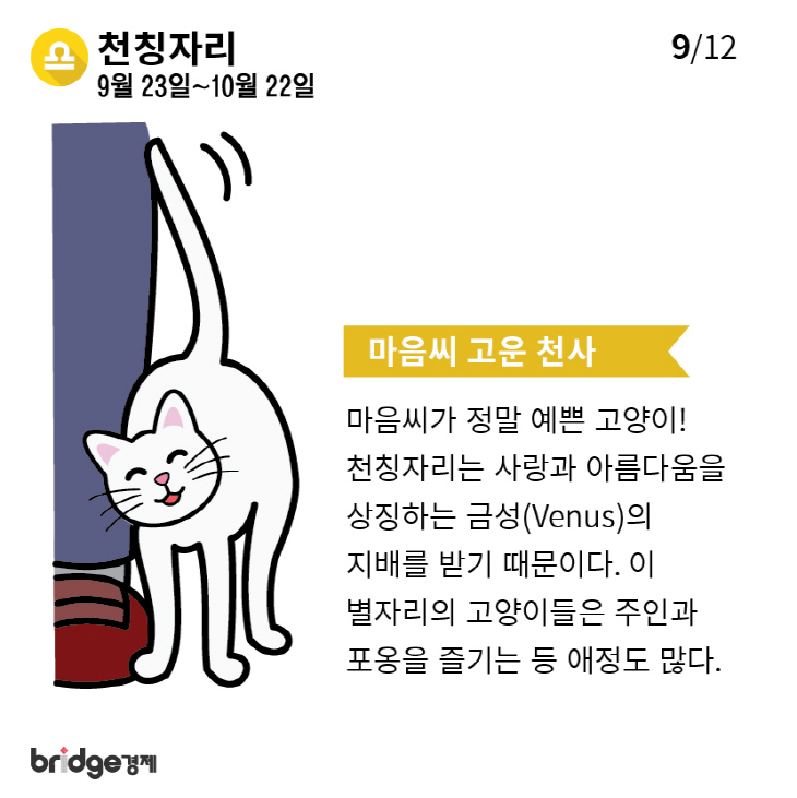 별자리에따른고양이성격분석_브릿지경제-09