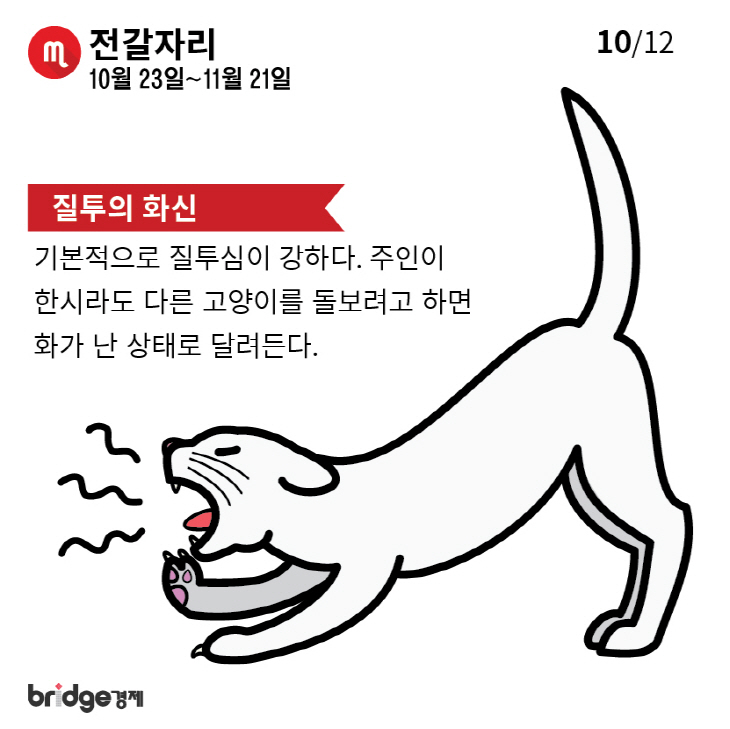 별자리에따른고양이성격분석_브릿지경제-10