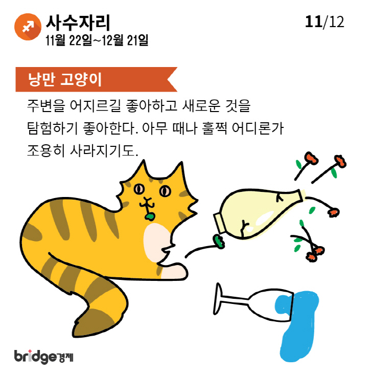 별자리에따른고양이성격분석_브릿지경제-11