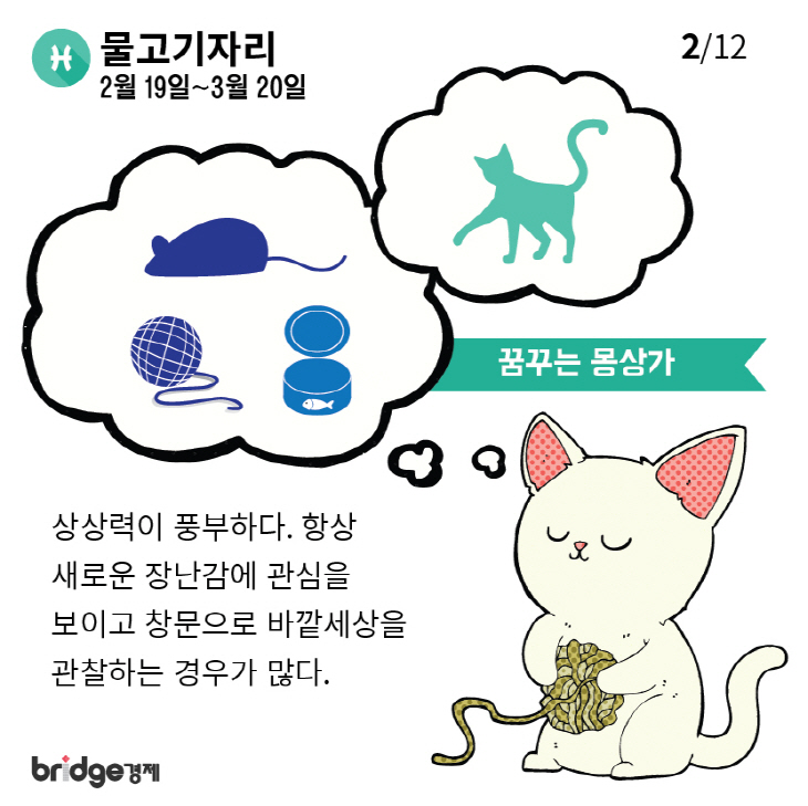 별자리에따른고양이성격분석_브릿지경제-02