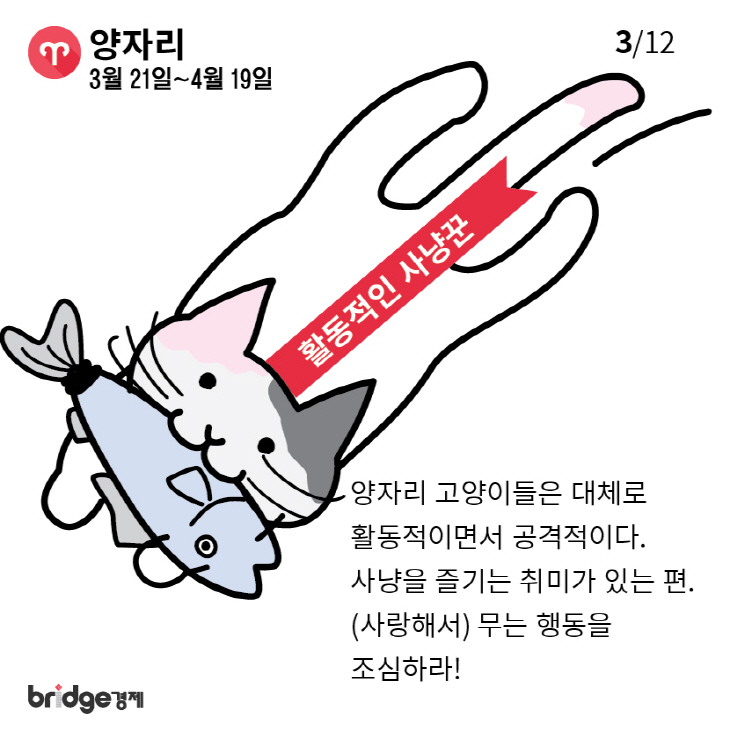 별자리에따른고양이성격분석_브릿지경제-03