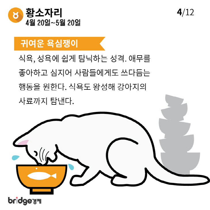 별자리에따른고양이성격분석_브릿지경제-04