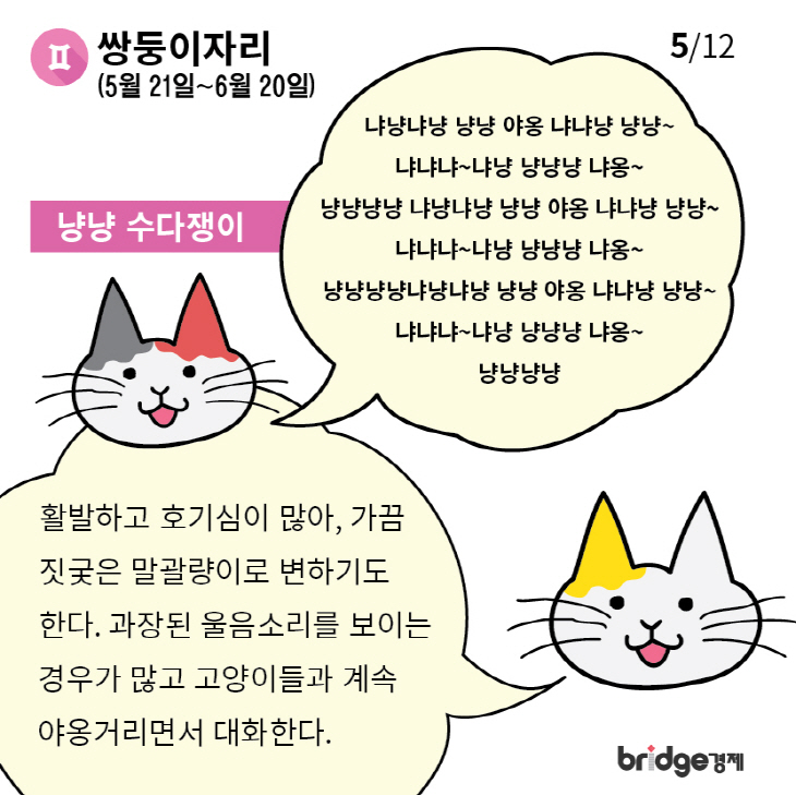 별자리에따른고양이성격분석_브릿지경제-05