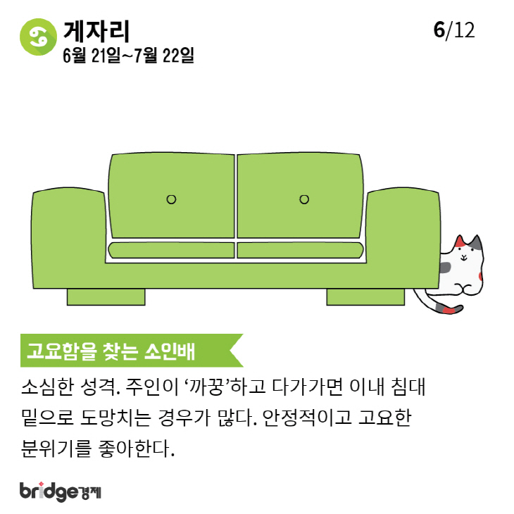 별자리에따른고양이성격분석_브릿지경제-06