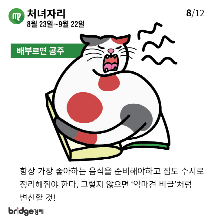 별자리에따른고양이성격분석_브릿지경제-08