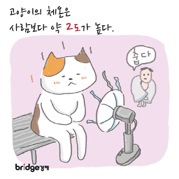 브릿지경제_이냥저냥그냥_2편_수정-05