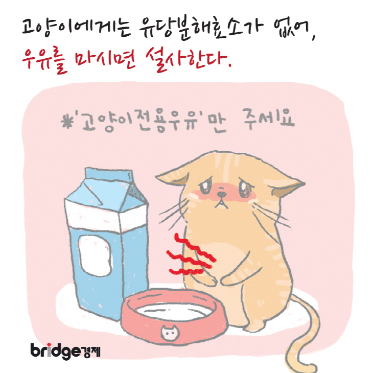 브릿지경제_이냥저냥그냥_2편-03