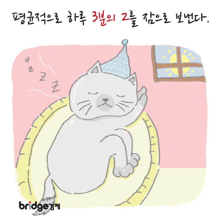 브릿지경제_이냥저냥그냥_2편-04