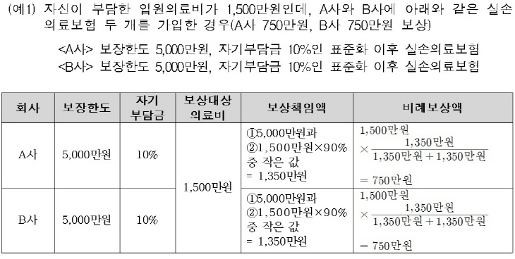 실손의료보험 자기부담금