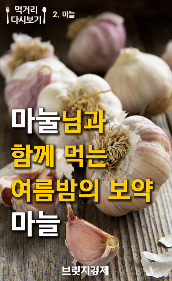 마늘의효능1