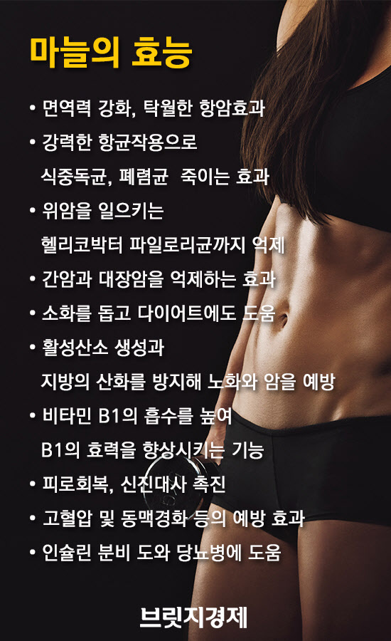 마늘의효능4