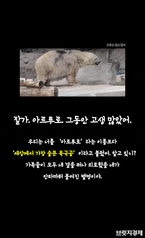 곰2