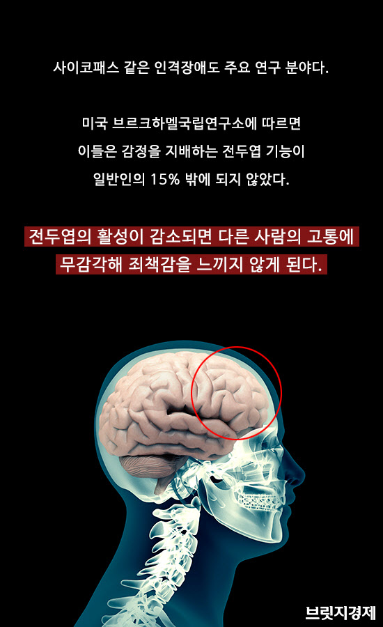 뇌6