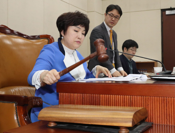 선거구 획정안 행안위 상정