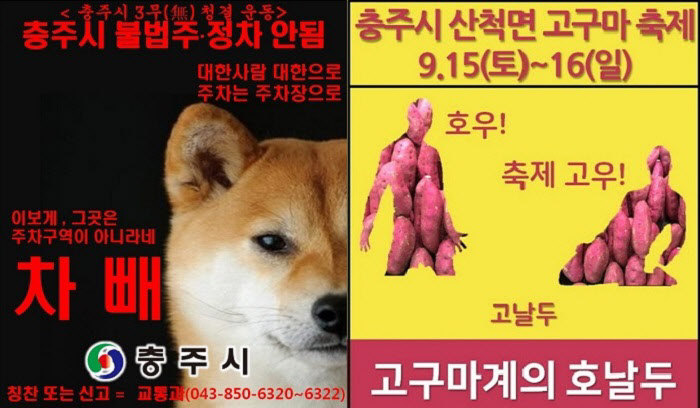 충주시청 B급 감성 홍보물