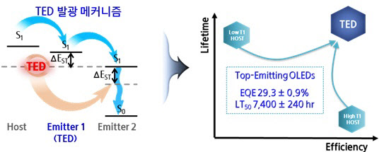 TED 발광 메커니즘 및 소자 특성