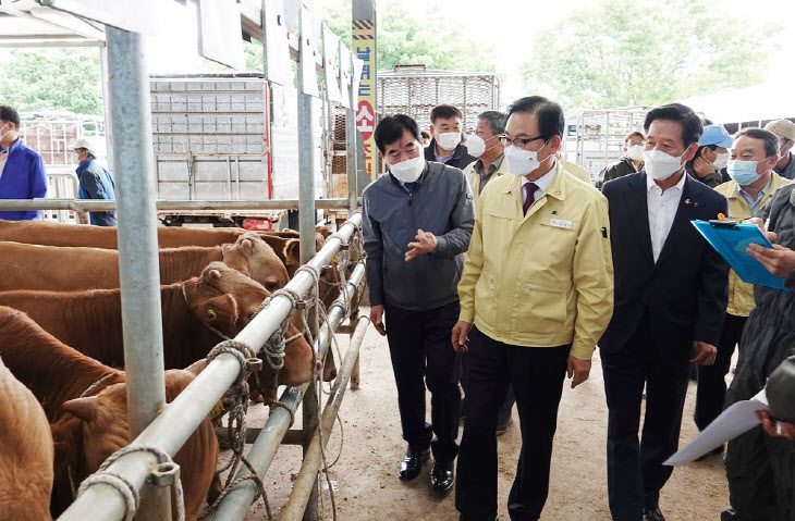 한정우 창녕군수 가축경매시장 방문 격려(1)