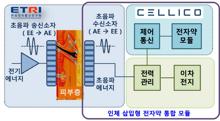 [첨부1] 셀리코는 ETRI로부터 인체에 안전한 초음파