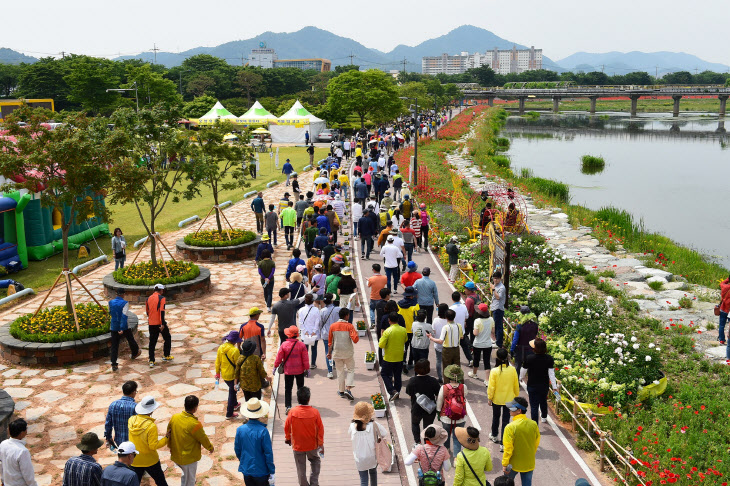 장성군 ‘황룡강 (洪)길동무 꽃길축제’ 3년 만에 다시 열린다