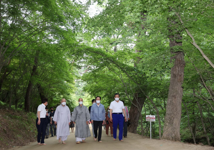 01-2의성군제공 천년숲길 맨발로 걸어요