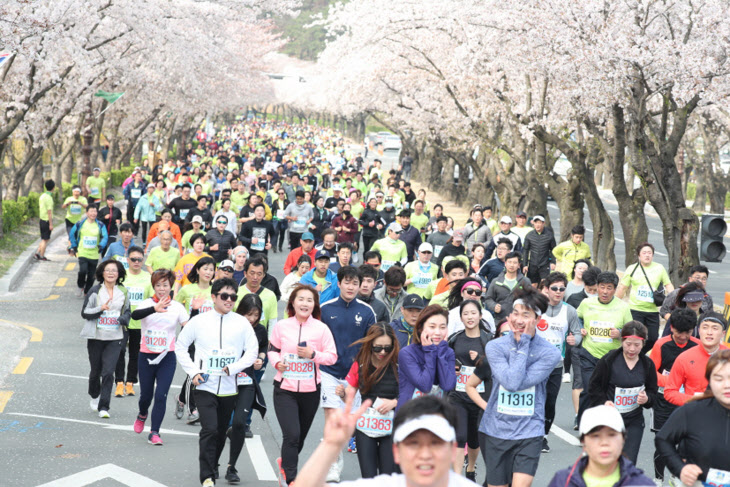 경북 경주시, 2023 경주 벚꽃마라톤대회 4월 1일 개최…선착순