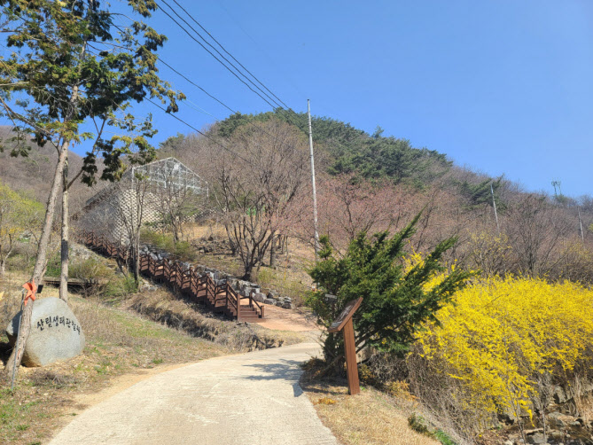 04의성군제공 금봉자연휴양림