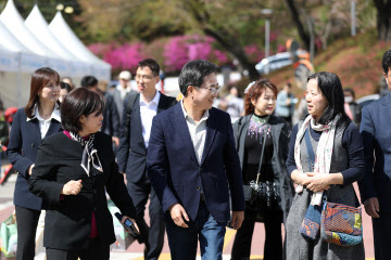 경기도청 봄꽃축제