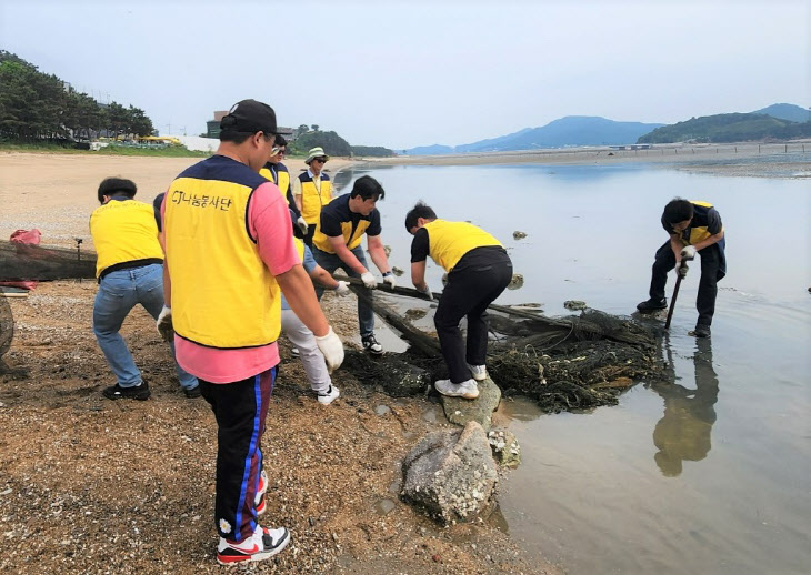 CJ제일제당 마시안 해변 정화활동