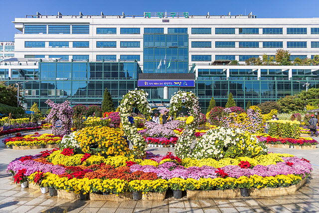 인천 계양구, 제15회 가을꽃 전시회 개최