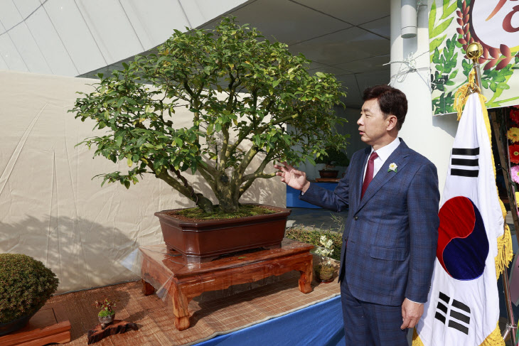 1-2. 보성군, 제1회 대한민국 차나무 분재 대전 개최