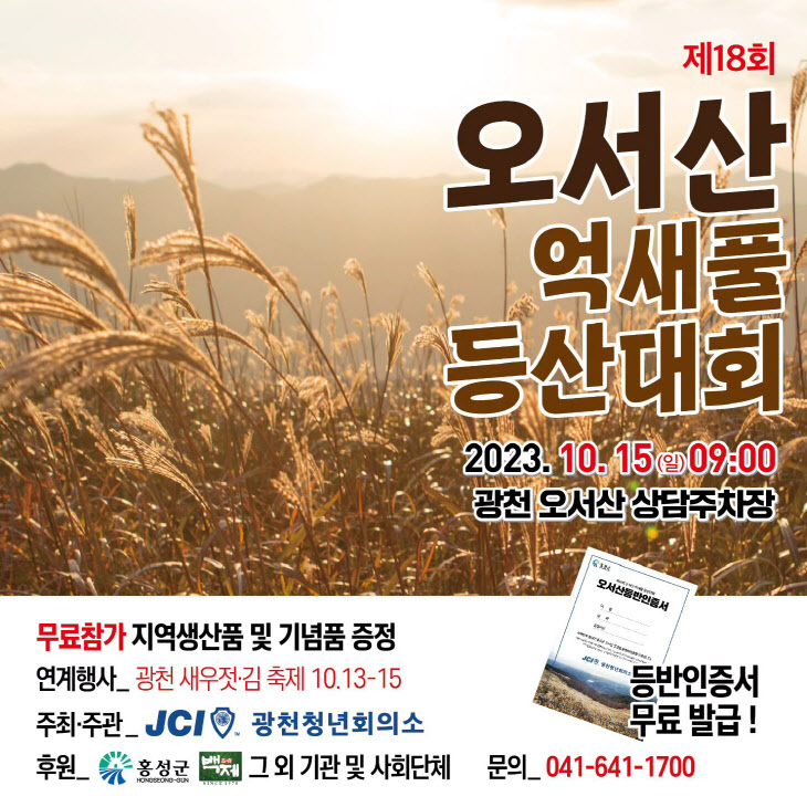 홍성 오서산 억새풀 등반대회