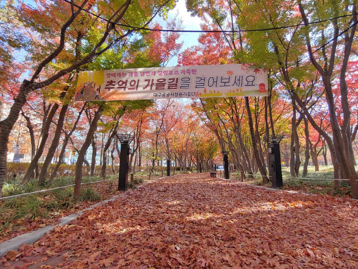 대구시, 단풍을 즐길 ‘추억의 가을길’ 선정