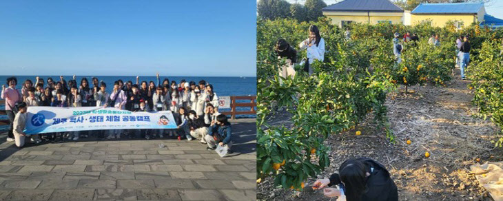 제주 사진