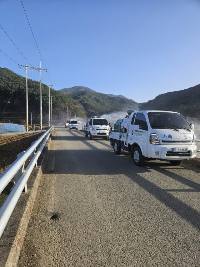 산청 양천강 주변 방역 모습