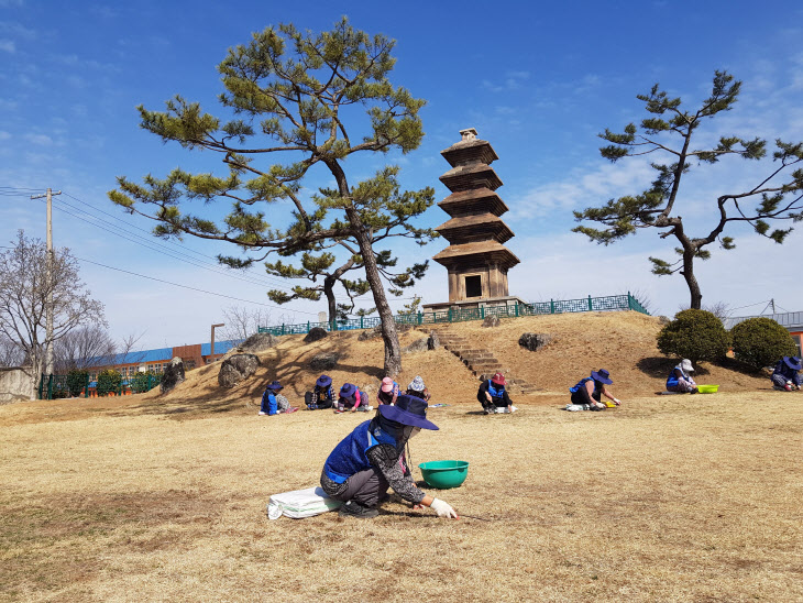 01의성군제공 노인일자리 문화재보호)