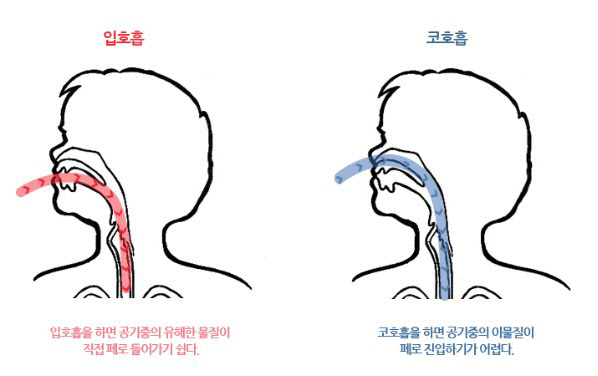 코 2