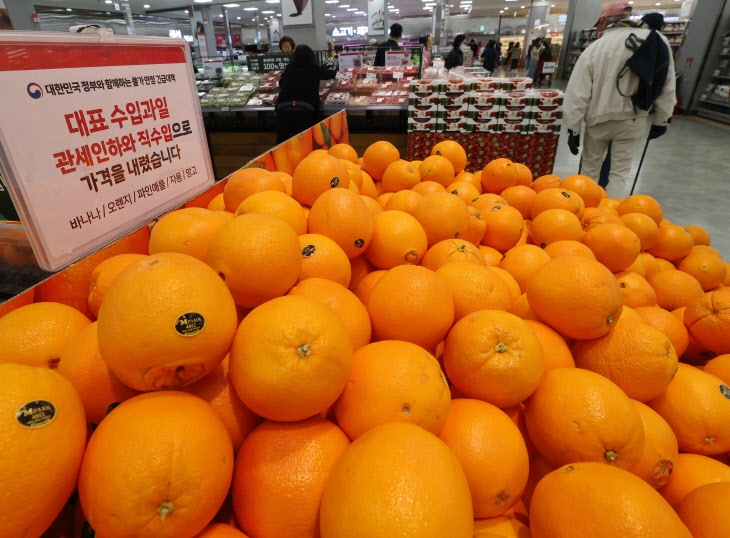 농식품부, 물가안정 위해 과일 직수입