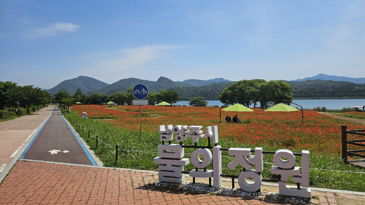 “꽃양귀비가 만개한 남양주시 물의정원으로 놀러 오세요!”