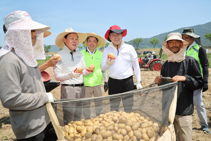 도지사