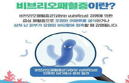 비브리오패혈증 포스터 2