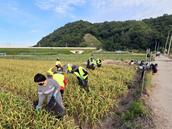 외국인 계절근로사업  지역 농가에 큰 힘 (1)