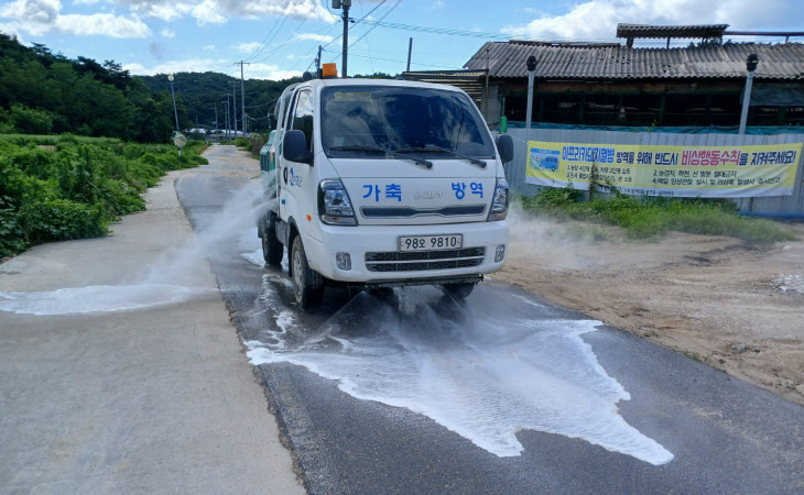 도내 잇달은 ASF 발생에 따른 확산 차단 총력대응