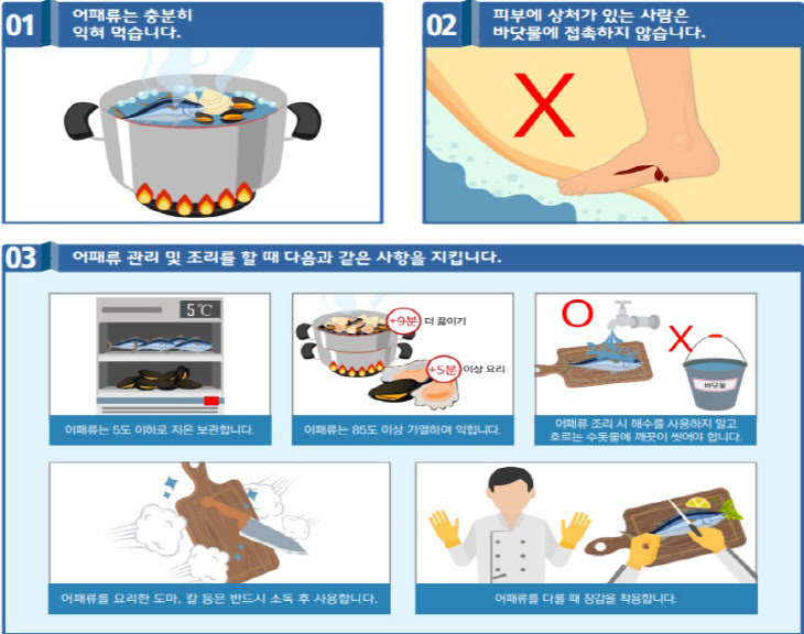 2 비브리오패혈증 예방수칙