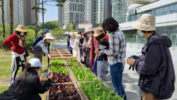 그린텃밭 조성