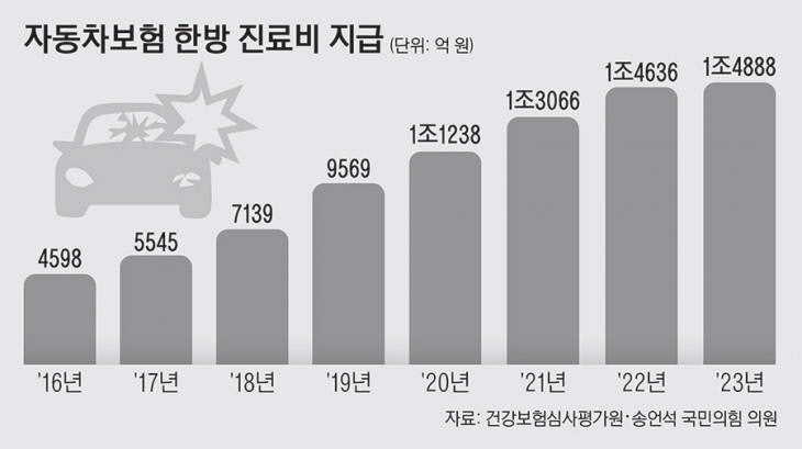 자동차보험 한방 진료비 지급