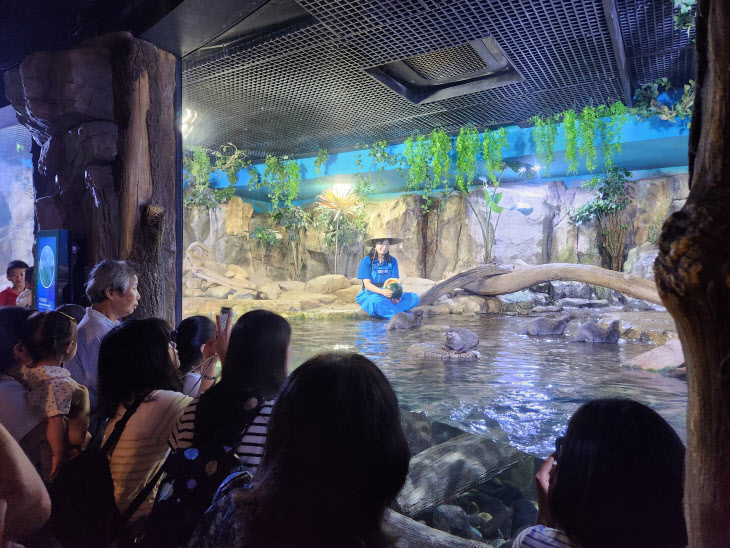 수달 여름철 보양식 지급 2_부산아쿠아리움_240719