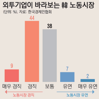 22_외투기업한국노동시장_1