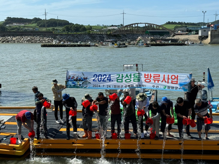 함평만 일원에서 감성돔 방류