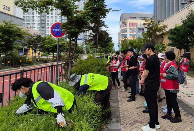 가로수돌보미 사진